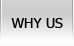 why our Ann Arbor webdesign company